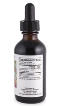 Load image into Gallery viewer, Elderberry Tincture