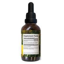 Load image into Gallery viewer, Liver Support Tincture | 2 Oz