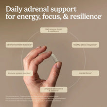Load image into Gallery viewer, Adrenaplex | 120 Capsules