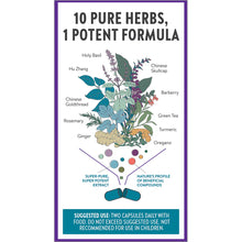 Load image into Gallery viewer, Zyflamend™ Whole Body (120 Veg Capsules)