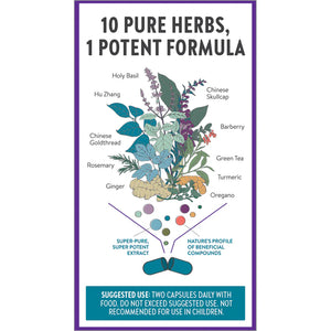 Zyflamend™ Whole Body (120 Veg Capsules)
