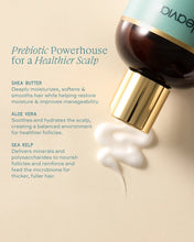Load image into Gallery viewer, Biome Luxe Prebiotic Conditioner | 12oz.