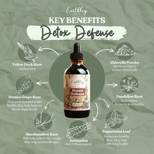 Load image into Gallery viewer, Detox Defense | 4oz.