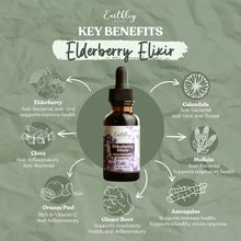 Load image into Gallery viewer, Elderberry Elixir | 4oz.