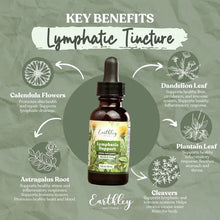 Load image into Gallery viewer, Lymphatic Support | 2oz