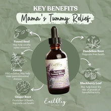 Load image into Gallery viewer, Mama's Tummy Relief | 2oz