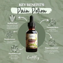 Load image into Gallery viewer, Pain Potion | 2oz.