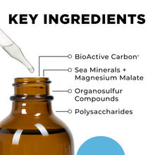 Load image into Gallery viewer, HydrOxygen