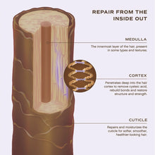 Load image into Gallery viewer, Overnight Repair Serum
