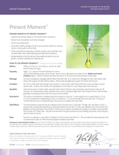 Load image into Gallery viewer, Present Moment® 5ml