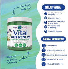 Load image into Gallery viewer, Vital GUT RENEW™ - Leaky Gut Repair - Powder