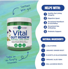 Load image into Gallery viewer, Vital GUT RENEW™ Powder | Value Size