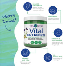 Load image into Gallery viewer, Vital GUT RENEW™ Powder | Value Size
