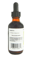 Load image into Gallery viewer, Scutellaria Baicalensis Tincture
