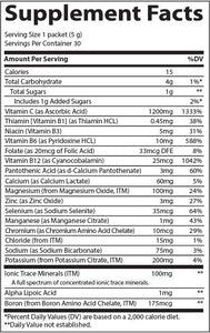 Electrolyte Stamina Power Pak - Pomegranate Blueberry