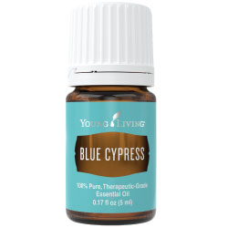 Blue Cypress Essential Oil 5ml