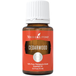 Cedarwood Essential Oil 15ml