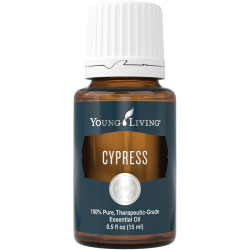 Cypress Essential Oil 15ml