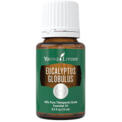 Eucalyptus Globulus Essential Oil 15ml