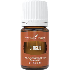 Ginger Essential Oil 5ml