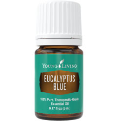 Eucalyptus Blue Essential Oil 5ml