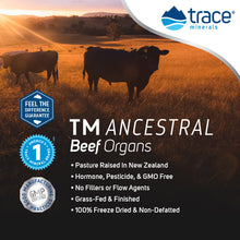 Load image into Gallery viewer, TMAncestral Beef Organs