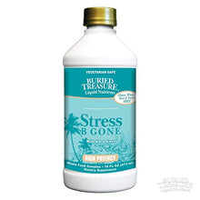 Load image into Gallery viewer, Stress B Gone With Kava Kava -- 16 fl oz