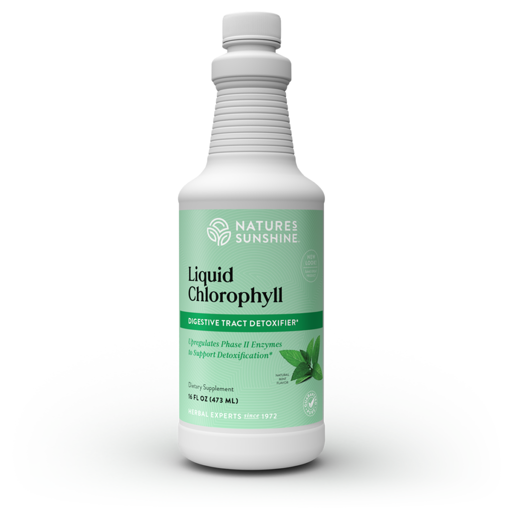 Chlorophyll, Liquid (16 fl. oz.)